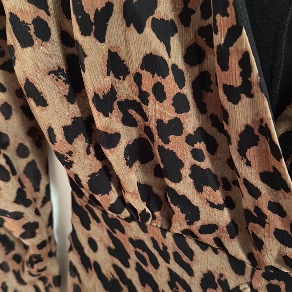 NWOT Zara leopard print dress - Picture 3 of 7